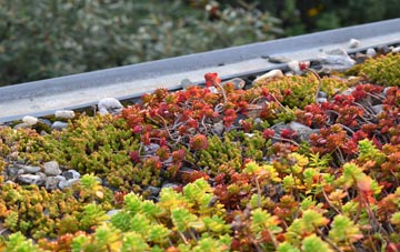 the cost of Arkleton green roof installation