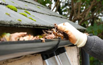 gutter cleaning Arkleton, Dumfries And Galloway