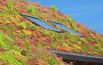 Arkleton living roof systems