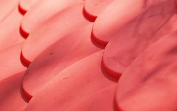 Arkleton plastic roof costs