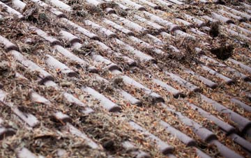 Arkleton roof cleaning companies