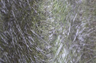 Arkleton fibreglass roof work