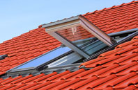 Arkleton roof window